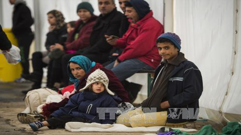 Người tị nạn chờ làm thủ tục tại một trung tâm đăng ký cư trú ở Berlin, Đức. Ảnh: AFP/TTXVN