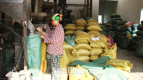 Chuẩn bị gạo dự phòng cung ứng cho nhân dân trong mùa mưa bão tại cơ sở chế biến lương thực Thị trấn Gôi (Vụ Bản).