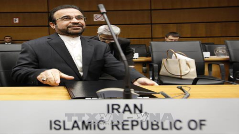 Đại diện thường trực Iran tại IAEA Reza Najafi. Ảnh: AFP/TTXVN .