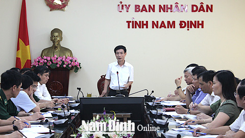 Đồng chí Phạm Đình Nghị, Phó Bí thư Tỉnh ủy, Chủ tịch UBND tỉnh phát biểu chỉ đạo tại cuộc họp.