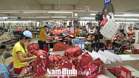 Kiểm soát hàng hóa trước khi xuất khẩu tại Cty CP May Nam Hà (TP Nam Định).