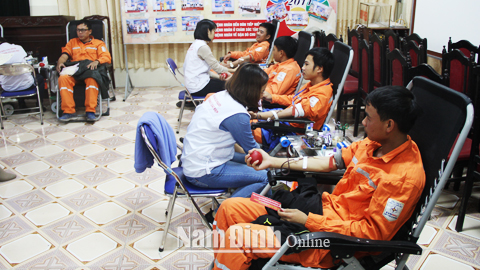 Cán bộ, công nhân viên Cty Điện lực Nam Định tham gia HMTN.