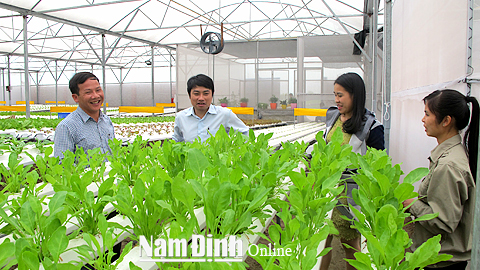 Trí thức trẻ ngành NN và PTNT kiểm tra chất lượng rau xanh tại Cty Rau quả sạch Ngọc Anh, xã Trực Hùng (Trực Ninh).