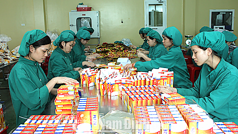 Sản xuất thuốc tại Chi nhánh Cty CP Dược phẩm Trường Thọ, KCN Hòa Xá (TP Nam Định).