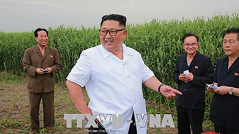 Nhà lãnh đạo Triều Tiên Kim Jong-un (giữa) trong chuyến thị sát huyện đảo Sindo hồi tháng 6. Ảnh: YONHAP/TTXVN