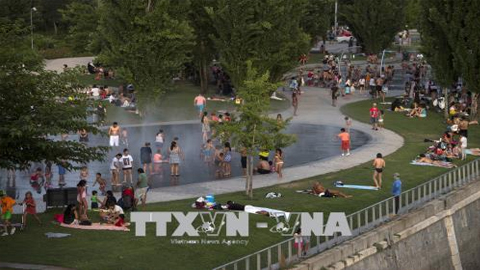 Người dân tránh nóng tại công viên ở Madrid, Tây Ban Nha ngày 3/8. Ảnh: AFP/TTXVN