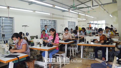Cơ sở may của gia đình ông Đoàn Văn Tiến, ở xóm 1, xã Nghĩa Lạc (Nghĩa Hưng) vay 60 triệu đồng từ Quỹ quốc gia giải quyết việc làm để mở rộng sản xuất, tạo việc làm cho 100 lao động.