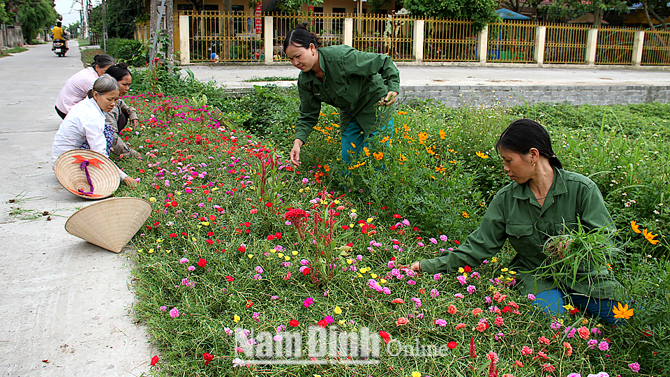 Hội viên phụ nữ xóm Trại, xã Yên Cường chăm sóc đường hoa.