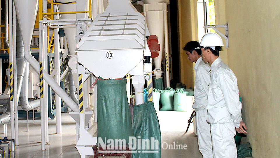 Dây chuyền chế biến lúa gạo với lò sấy công suất 200 tấn lúa/mẻ của Cty TNHH Toản Xuân, xã Yên Lương (Ý Yên).