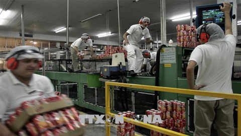 Công nhân làm việc tại một nhà máy ở Sao Paulo, Brazil. Ảnh: AFP/TTXVN