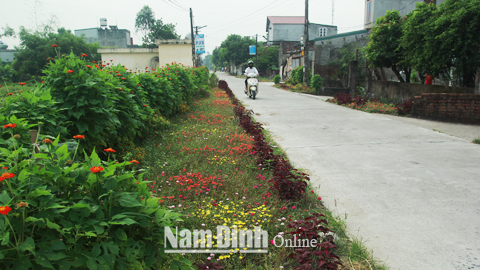 Tuyến đường giao thông nông thôn do CCB xã Yên Cường quản lý luôn xanh, sạch, đẹp.  Bài và ảnh: Văn Huỳnh