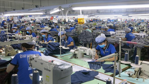 EU sẽ miễn thuế nhập khẩu trong 7 năm đối với một số sản phẩm của Việt Nam, như hàng dệt may, giày dép. Ảnh minh họa: Hải Âu/TTXVN