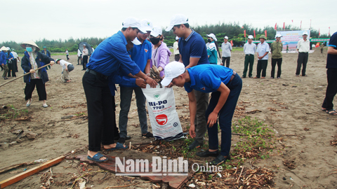 ĐVTN huyện Nghĩa Hưng tham gia dọn vệ sinh môi trường biển.