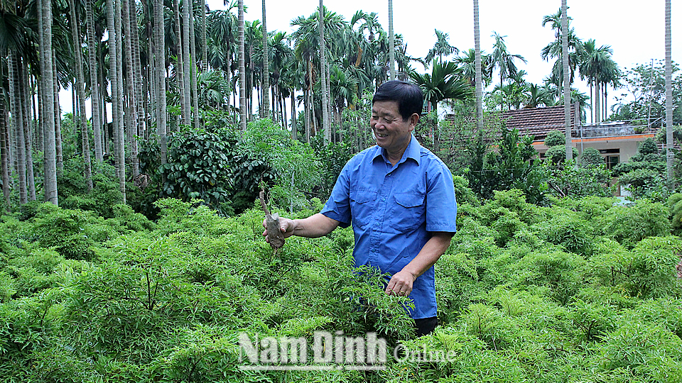 Mạnh dạn chuyển đổi cơ cấu cây trồng, vật nuôi, đảng viên Đỗ Thanh Minh, xóm 6, xã Hải Đường (Hải Hậu) vươn lên làm giàu góp phần phát triển kinh tế địa phương.