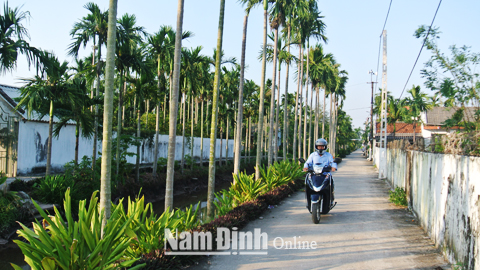 Đường dong ngõ xóm 1A, xã Hải Phong được xây dựng đảm bảo theo tiêu chí NTM.