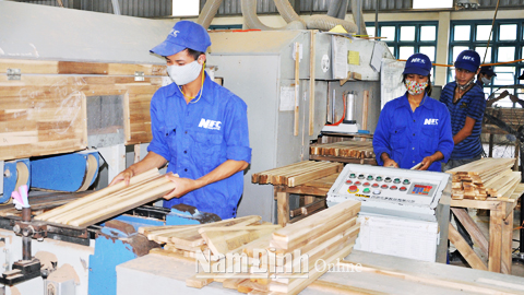 Đảng viên Cty CP Lâm sản Nam Định luôn đi đầu trong việc thực hiện nhiệm vụ sản xuất, kinh doanh.