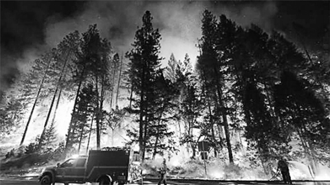 Cháy rừng ở Ca-li-pho-ni-a, Mỹ.