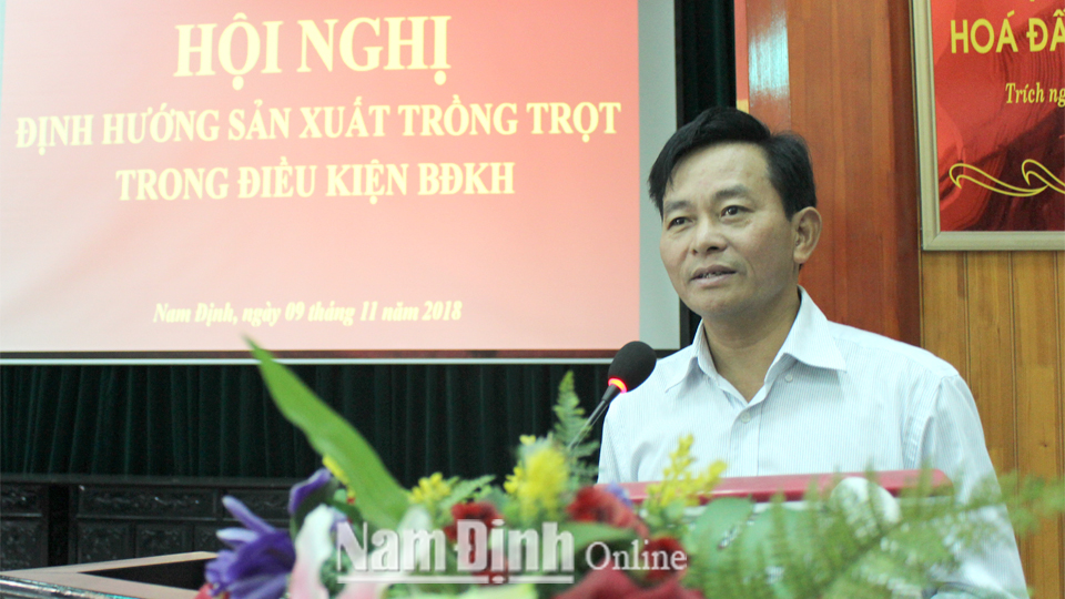 Đồng chí Nguyễn Phùng Hoan, TUV, Phó Chủ tịch UBND tỉnh phát biểu chỉ đạo hội nghị.