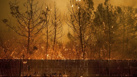 Đám cháy rừng thiêu đốt thị trấn Paradise, bang California, Mỹ. (Ảnh: AP)