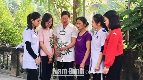 Cán bộ Trạm Y tế xã Nam Vân (Thành phố Nam Định) hướng dẫn người dân dùng cây thuốc nam để chữa bệnh.
