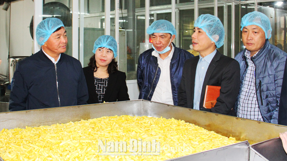 Đồng chí Phó Chủ tịch UBND tỉnh tham quan mô hình sản xuất cung ứng nông sản sạch tại Công ty trách nhiệm hữu hạn một thành viên Minh Dương (Thành phố Nam Định).