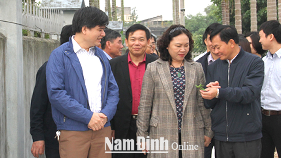 Đồng chí Nguyễn Phùng Hoan, Tỉnh ủy viên, Phó Chủ tịch UBND tỉnh tham quan mô hình khu dân cư xóm 18, xã Trực Hùng (Trực Ninh).