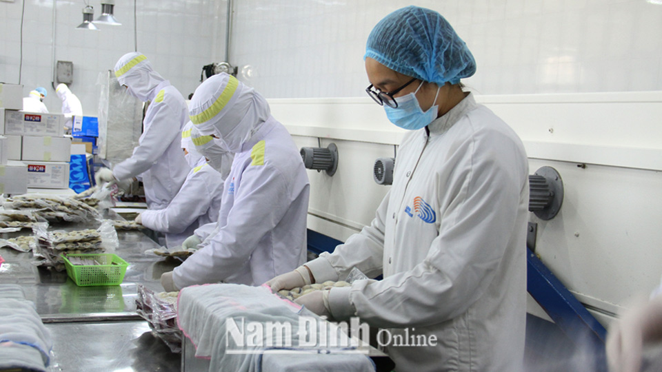 Chế biến ngao xuất khẩu theo công nghệ hiện đại tại Công ty Thủy sản Lenger, Cụm công nghiệp An Xá (Thành phố Nam Định).
