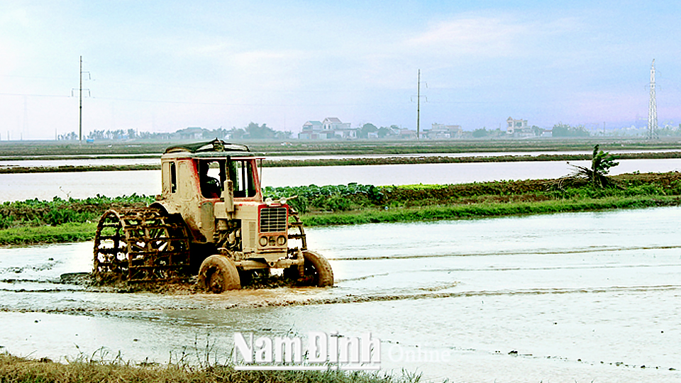 Làm đất chuẩn bị gieo cấy vụ xuân tại xã Đồng Sơn (Nam Trực).