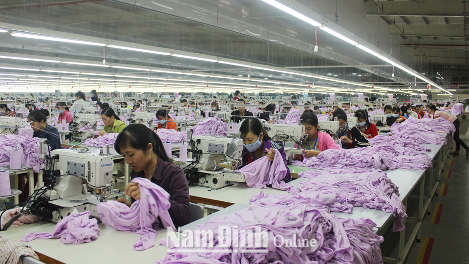 Sản xuất tại Công ty trách nhiệm hữu hạn Việt Pan - Pacific (Nam Trực).