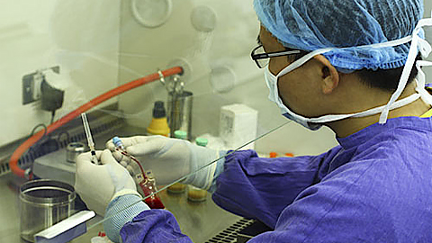  Cán bộ kỹ thuật nghiên cứu tế bào gốc tái tạo hệ thống tạo máu của bệnh nhân. Ảnh: T. Hằng.