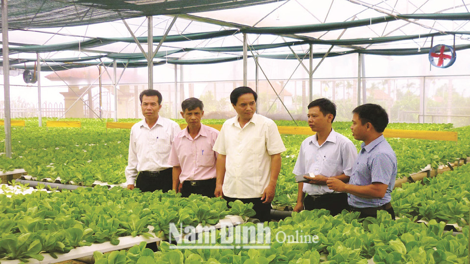 Tham quan mô hình trồng rau công nghệ cao tại xã Trực Hùng (Trực Ninh).