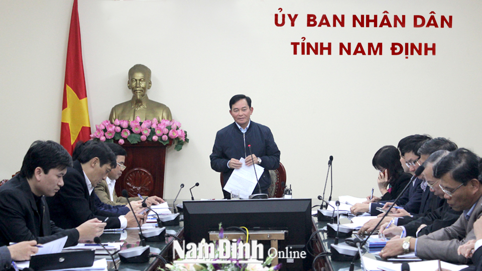 Đồng chí Nguyễn Phùng Hoan, TUV, Phó Chủ tịch UBND tỉnh phát biểu tại cuộc họp.