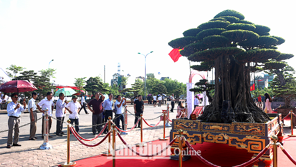 Du khách tham quan “Triển lãm sinh vật cảnh tỉnh Nam Định” lần thứ III năm 2018.