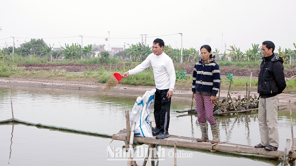Khu nuôi trồng thủy sản của Hợp tác xã sản xuất, kinh doanh dịch vụ nuôi trồng thủy sản Xuân Hòa, xã Xuân Hòa.