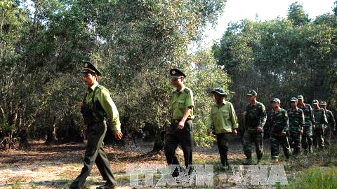 Lực lượng kiểm lâm phối hợp với các đơn vị hữu quan tuần tra kiểm soát ở các vùng trọng điểm có nguy cơ cháy cao khu vực Vườn quốc gia Tràm Chim, huyện Tam Nông (Đồng Tháp). Ảnh: An Hiếu/TTXVN