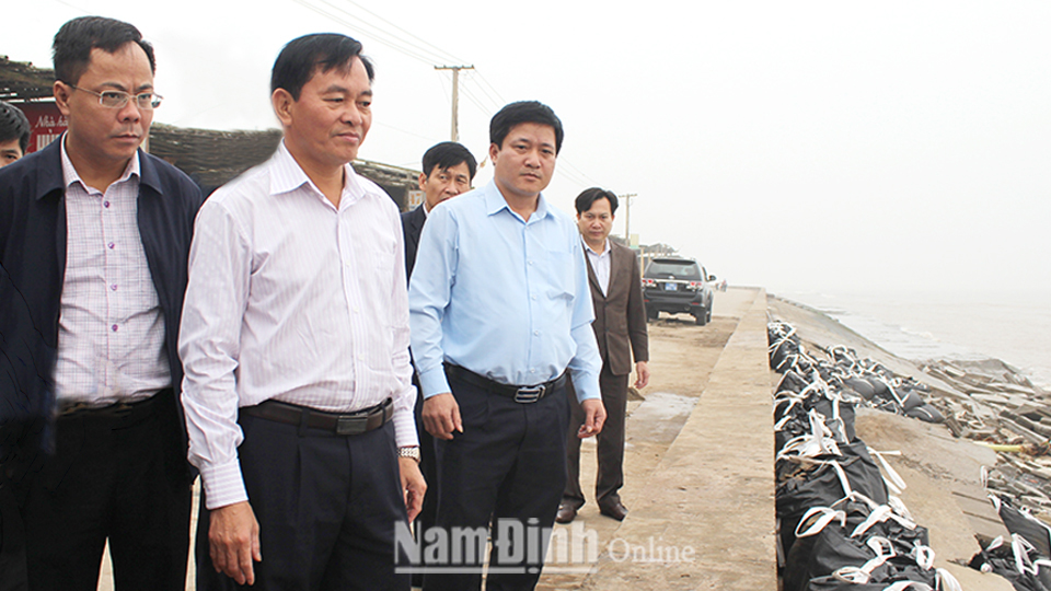 Đồng chí Nguyễn Phùng Hoan, Tỉnh ủy viên, Phó Chủ tịch UBND tỉnh kiểm tra tình trạng hư hỏng tại kè bãi tắm Quất Lâm, huyện Giao Thủy