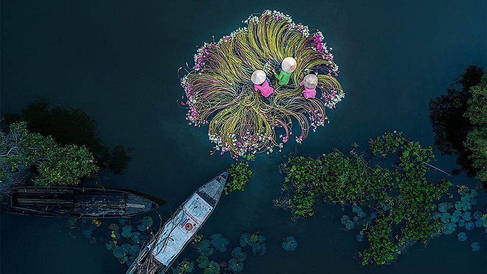 Tấm ảnh Flowers on the water (tạm dịch: Những bông hoa trên mặt nước) của tác giả Khánh Phan được trao giải nhất hạng mục ảnh Vui tươi (Fun) của SkyPixel Aerial Photography & Video Contest năm 2018.