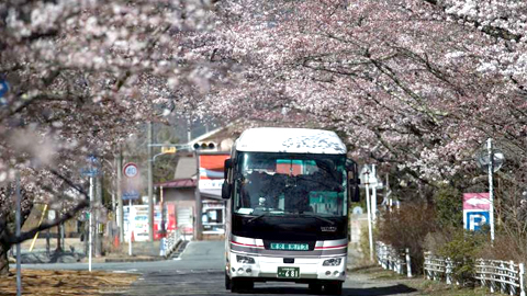 Xe buýt chở người dân về thị trấn Okuma sau khi lệnh sơ tán vì phóng xạ được dỡ bỏ. Ảnh: Getty