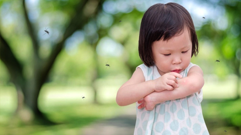 Trẻ nhỏ là đối tượng yêu thích của các loại côn trùng