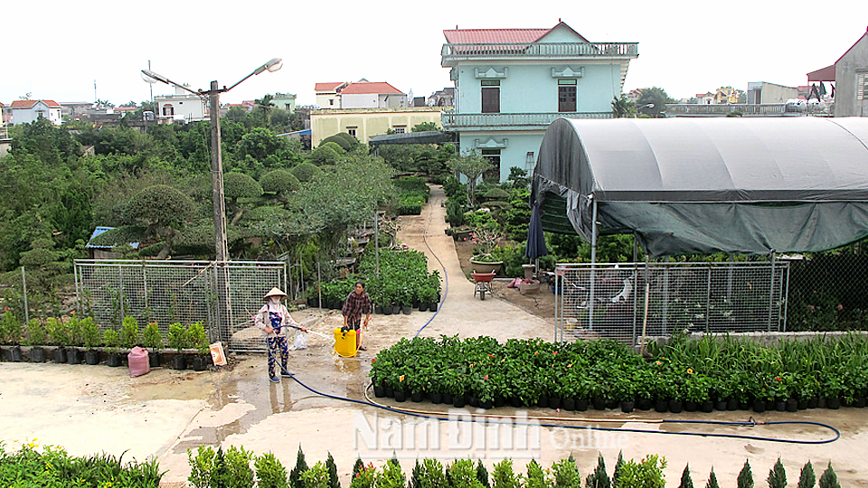 Nhà vườn nông thôn mới kiểu mẫu của gia đình chị Nguyễn Thị Quy, xóm 3, thôn Vị Khê, xã Điền Xá.