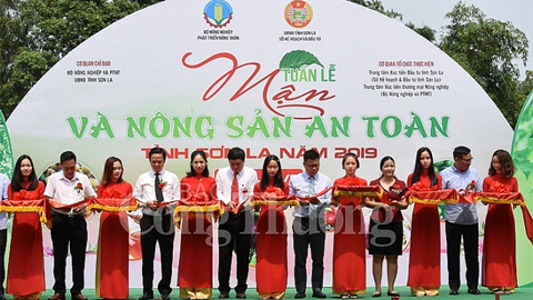 Khai mạc Tuần lễ mận và nông sản an toàn tỉnh Sơn La tại Hà Nội