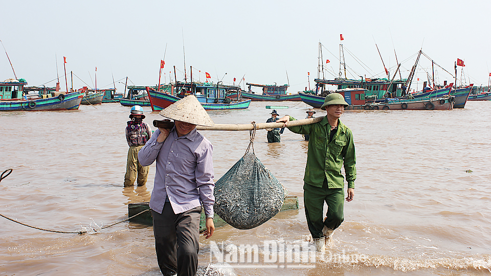 Ngư dân thu hoạch thành quả chuyến biển tại chợ cá xã Giao Hải.