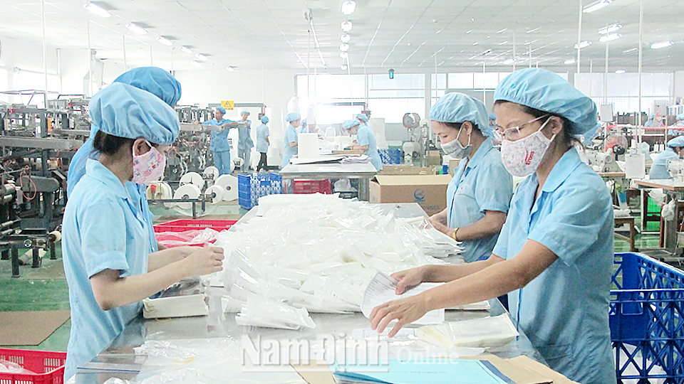 Sản xuất vật tư y tế tại Công ty Trách nhiệm hữu hạn Đầu tư và Thương mại An Lành, cụm công nghiệp An Xá (Thành phố Nam Định).