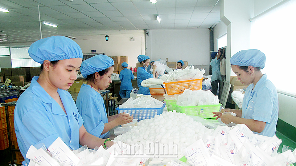 Sản xuất vật tư y tế phục vụ khám, chữa bệnh và dự trữ phòng, chống thiên tai tại Công ty Trách nhiệm hữu hạn Đầu tư và Thương mại An Lành, cụm công nghiệp An Xá (Thành phố Nam Định).