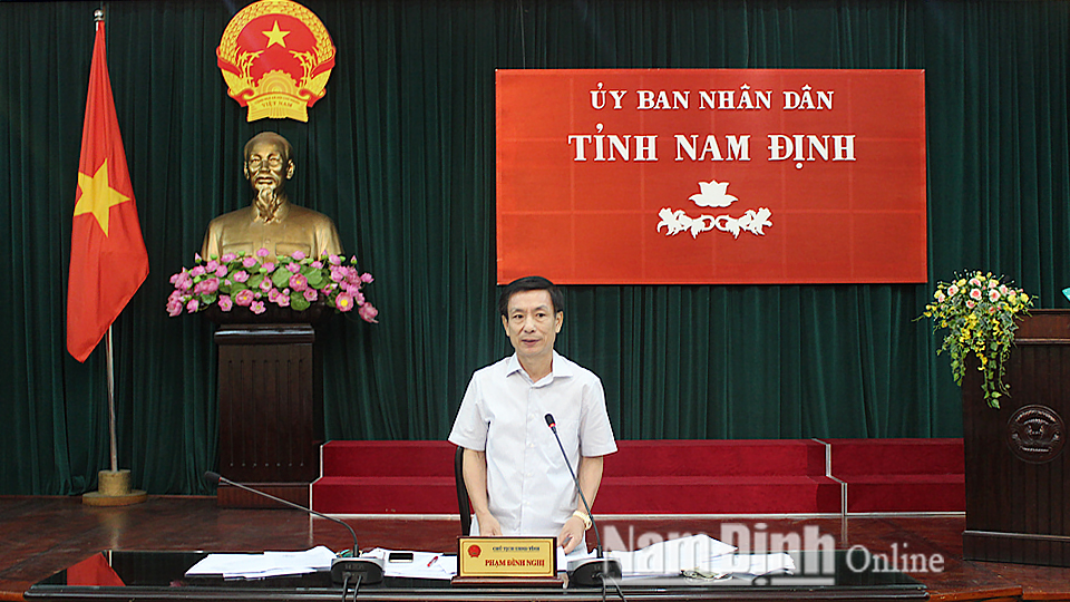 Đồng chí Phạm Đình Nghị, Phó Bí thư Tỉnh ủy, Chủ tịch UBND tỉnh phát biểu chỉ đạo hội nghị.