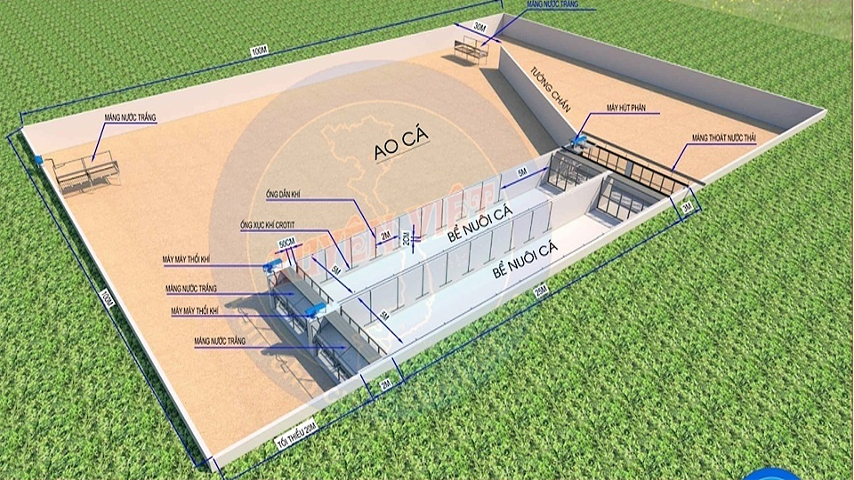 Mô phỏng thiết kế 2 bể nuôi (diện tích 125m2) trong ao nuôi (diện tích 10.000m2)