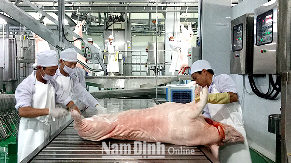 Chế biến thịt lợn xuất khẩu tại Công ty Trách nhiệm hữu hạn Đầu tư và Thương mại Biển Đông (Hải Hậu).