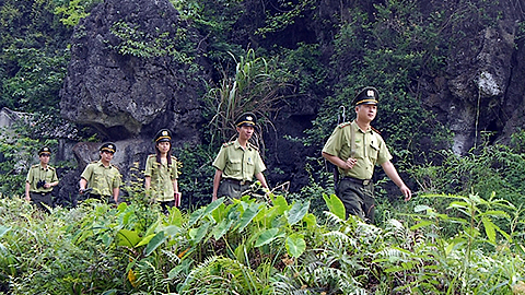 Cán bộ Kiểm lâm tỉnh Ninh Bình tuần tra, kiểm soát bảo vệ rừng tại Khu Bảo tồn Thiên nhiên đất ngập nước Vân Long. 