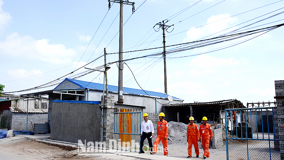 Công ty Điện lực Nam Định kiểm tra, xử lý vi phạm hành lang an toàn lưới điện cao áp trên địa bàn xã Thành Lợi (Vụ Bản).