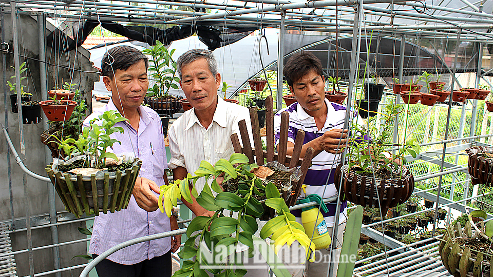 Mô hình trồng lan trong nhà lưới theo công nghệ Israel của anh Ngô Văn Thuận, xóm Phạm Tăng, xã Hải Tân.